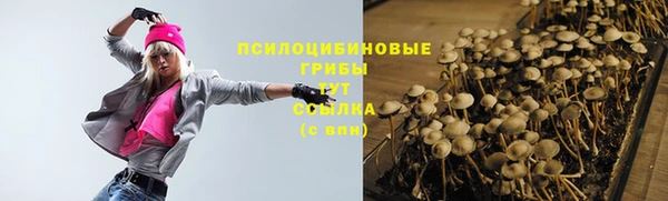 каннабис Алзамай