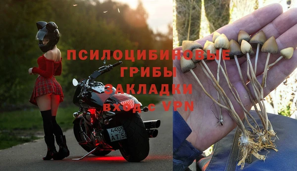 каннабис Алексин