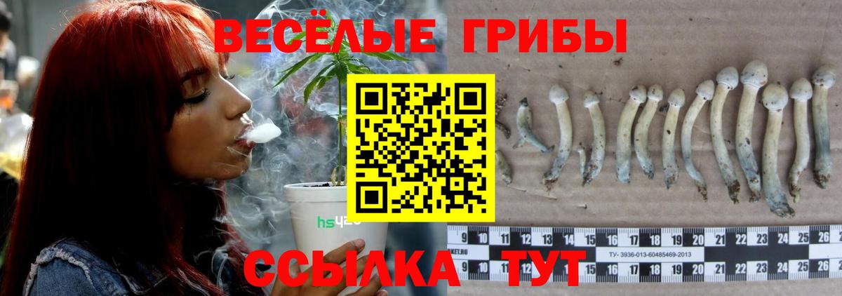 Череповец  Галлюциногенные грибы Cubensis  купить наркотики цена  Вход с VPN 